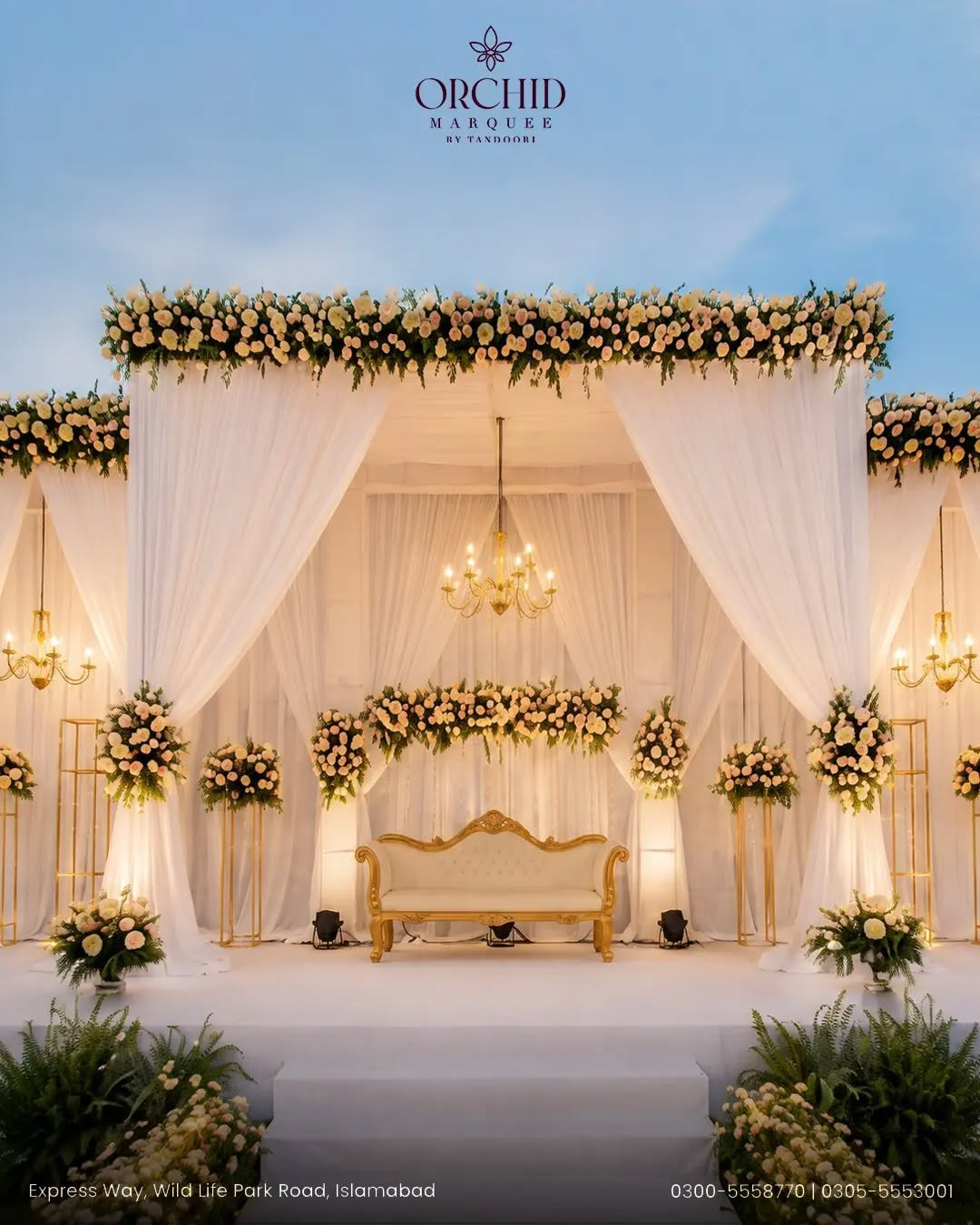 Orchid Marquee by Tandoori