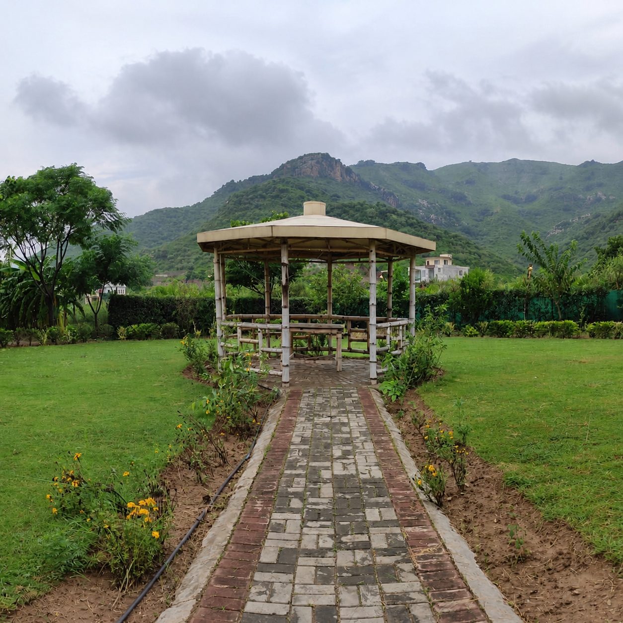 Afreenish Lawn